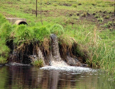 Water Authorizations